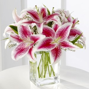 Pink Lilies